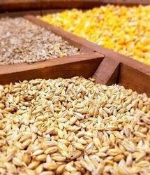 فرصت یک ماهه برای واردات نهاده‌های دامی فاقد ثبت سفارش در سقف سهمیه سالانه