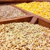 فرصت یک ماهه برای واردات نهاده‌های دامی فاقد ثبت سفارش در سقف سهمیه سالانه