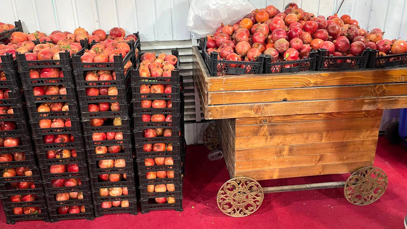 نخستین جشنواره انار در روستای «مارین» گچساران برگزار خواهدشد