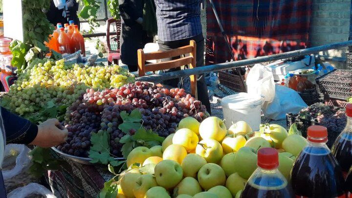 دومین جشنواره «انگور کندوله» برگزار شد