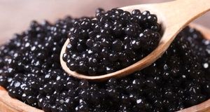 صادرات ۲۸۸ کیلوگرم خاویار از استان مازندران