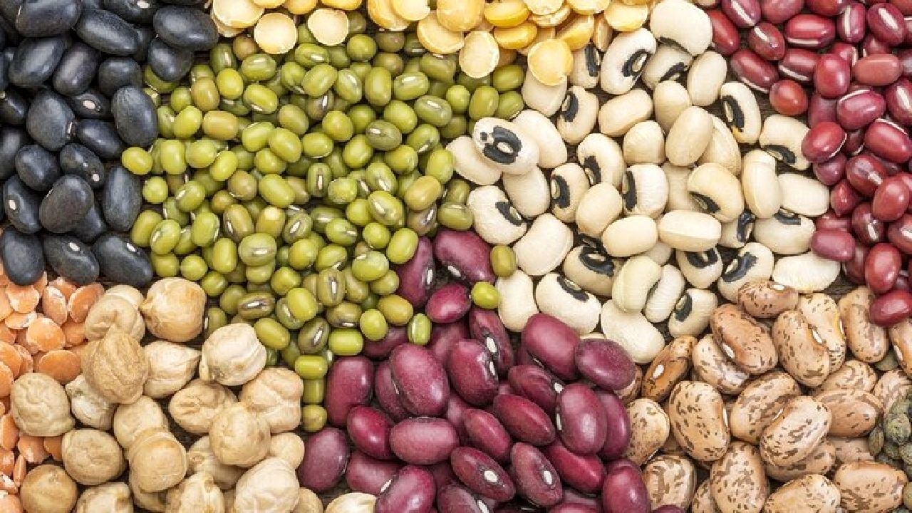 اعلام سقف قیمت ارزی انواع حبوبات را برای نیمه دوم سال ۱۴۰۴