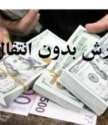 ۵۳ قلم کالای اساسی مشمول واردات بدون انتقال ارز شد