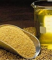 آغاز ثبت سفارش جدید دانه‌های روغنی و کنجاله از ۱۲ آبان