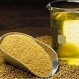 آغاز ثبت سفارش جدید دانه‌های روغنی و کنجاله از ۱۲ آبان