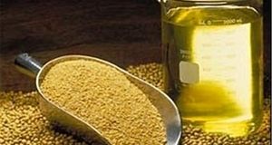 آغاز ثبت سفارش جدید دانه‌های روغنی و کنجاله از ۱۲ آبان