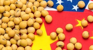 چین با سویا به جنگ آمریکا رفت