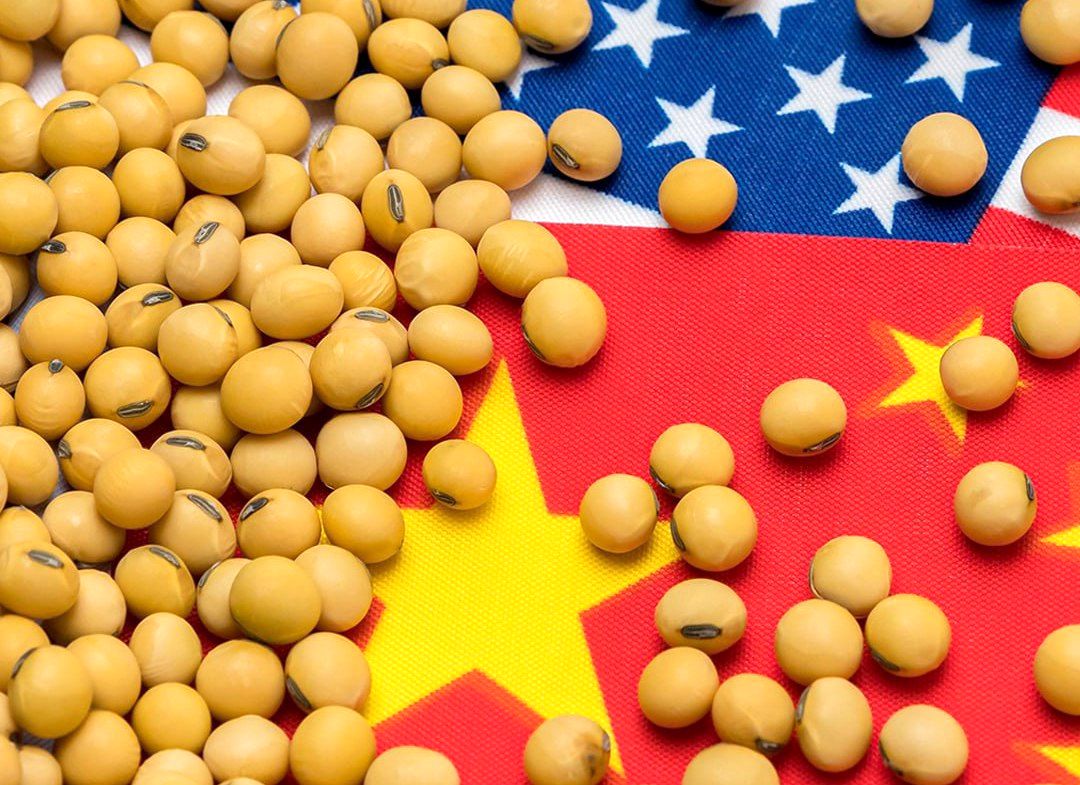 چین با سویا به جنگ آمریکا رفت