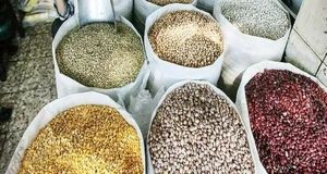 بخشنامه گمرک برای واردات حبوبات و گندم از اتحادیه اوراسیا با تعرفه صفر