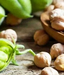 ممنوعیت صادرات نخود به ۳ ماه رسید و در حال از دست دادن بازارهای جهانی هستیم