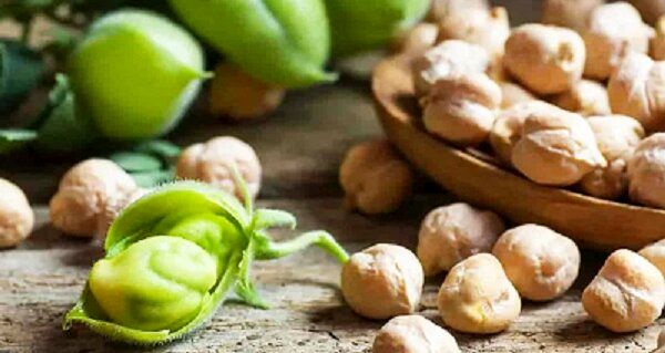 ممنوعیت صادرات نخود به ۳ ماه رسید و در حال از دست دادن بازارهای جهانی هستیم