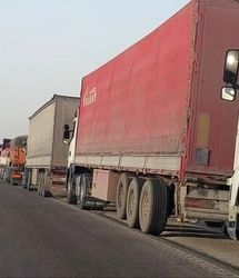 محصول صادراتی باید بر اساس استانداردهای کشور مقصد تولید شود،