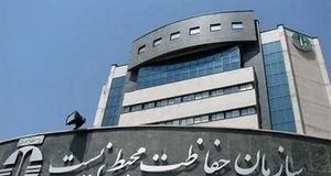 جذب سالانه ۷۰۰ نیروی کارشناس و محیط‌بان در دستور کار سازمان حفاظت محیط زیست