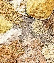 توزیع ۳ هزار تن نهاده‌های موردنیاز دام و طیور در استان لرستان