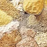 توزیع ۳ هزار تن نهاده‌های موردنیاز دام و طیور در استان لرستان