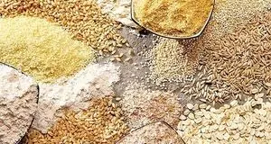 توزیع ۳ هزار تن نهاده‌های موردنیاز دام و طیور در استان لرستان