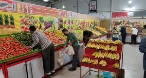 افتتاح ۶ مرکز و بازار جدید عرضه میوه و تره بار در تهران