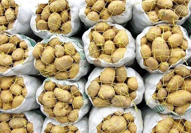 ورود سیب‌زمینی بهاره به بازار