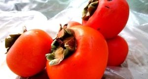 پیش‌بینی برداشت ۳۵۰۰ تن خرمالو در استان فارس