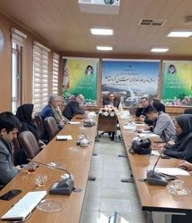 تحقق اشتغال ایجادی استان کردستان در نیمه نخست سال جاری تنها ۲۶ درصد بود