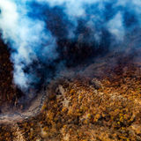 ممنوعیت ورود گردشگران به عرصه‌های جنگلی هیرکانی، زاگرس و ارسباران