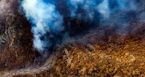 ممنوعیت ورود گردشگران به عرصه‌های جنگلی هیرکانی، زاگرس و ارسباران