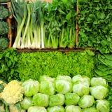 برداشت سه هزارو ۵۰۰ تن انواع سبزیجات در شادگان