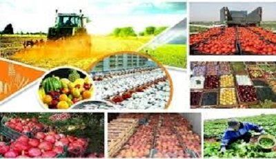 افزایش تورم تولیدکننده محصولات کشاورزی و دامداری