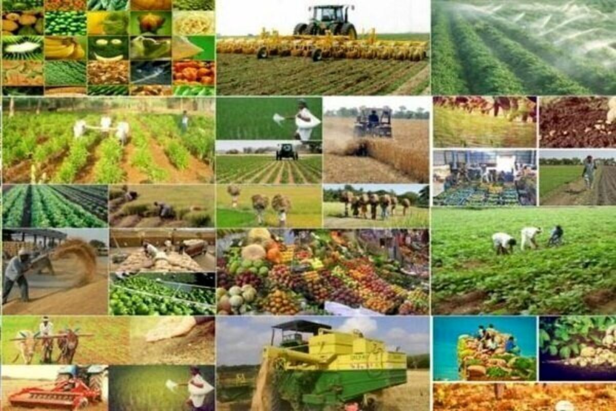 ۴۰۰ خدمت وزارت جهاد کشاورزی، الکترونیکی شد