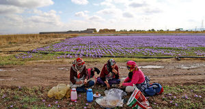 بیمه ۶ هزار و ۴۲۰ خانوار روستایی و عشایری در استان خراسان شمالی