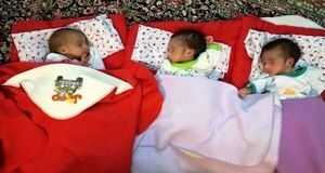 اخراج این کارکنان ممنوع است