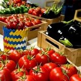 نخستین جشنواره گوجه‌فرنگی و لوبیا در اسدآباد برگزار خواهدشد