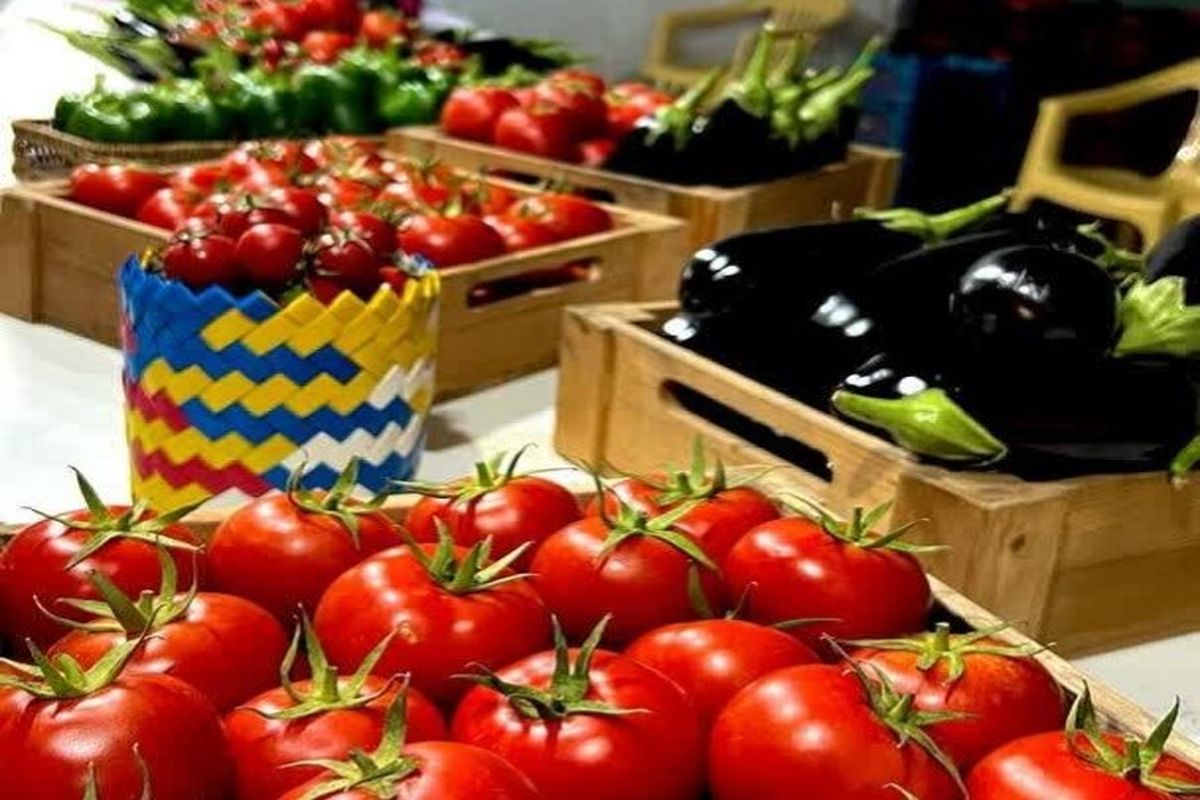 نخستین جشنواره گوجه‌فرنگی و لوبیا در اسدآباد برگزار خواهدشد