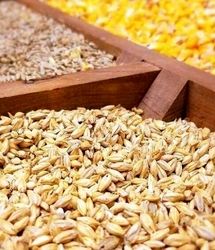 وعده بازگشت آرامش به بازار نهاده‌ها تا ۲ هفته آینده