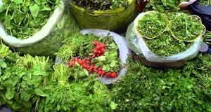 قیمت انواع سبزیجات برگی و غیر برگی در تهران