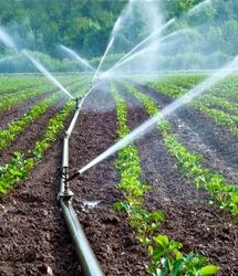 افت ۲۰ میلیون تنی تولیدات کشاورزی با تخصیص جدید آب 