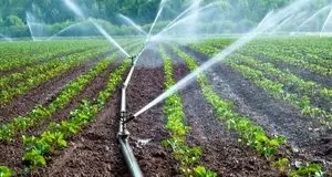 افت ۲۰ میلیون تنی تولیدات کشاورزی با تخصیص جدید آب 