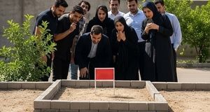 صدور سند برای زمین ۲۵ سانتی متری در کاشان!