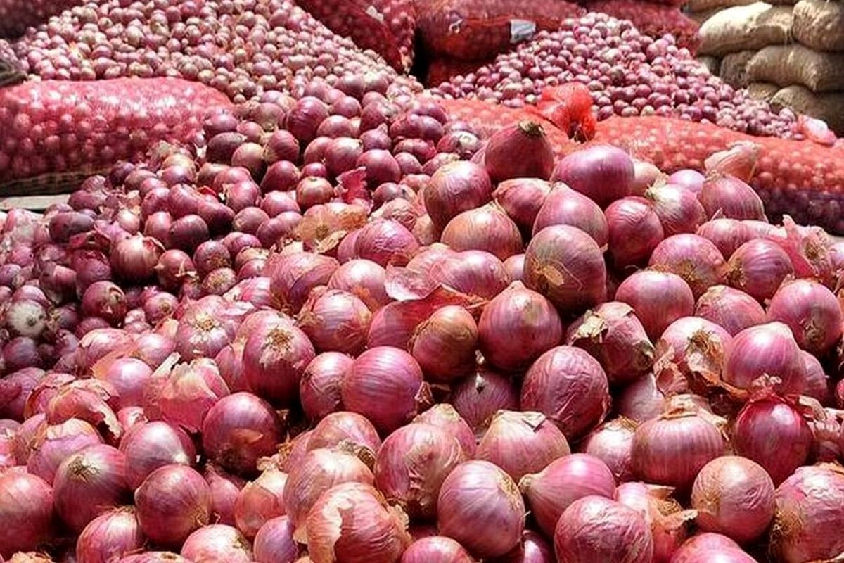 خرید تضمینی محصول پیاز برای حمایت از پیازکاران جنوب کشور تا ۵ خرداد ادامه دارد