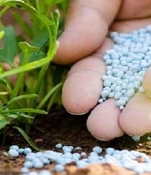 توزیع روزانه ۱۰ هزارتن انواع کود از آغاز سال زراعی جدید