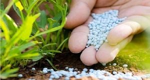 توزیع روزانه ۱۰ هزارتن انواع کود از آغاز سال زراعی جدید