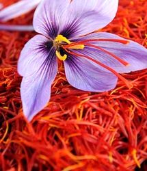 قاچاق ماهانه ۱۰ تن زعفران از کشور