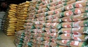 توزیع ۸۵۰ تن کالای تنظیم بازار در استان خراسان جنوبی