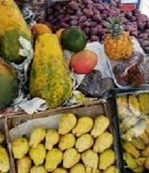 تولید سالانه ۲۹۷ هزار تن میوه‌های گرمسیری در استان سیستان و بلوچستان 