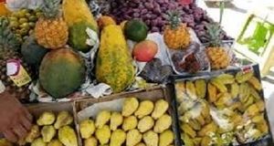 تولید سالانه ۲۹۷ هزار تن میوه‌های گرمسیری در استان سیستان و بلوچستان 