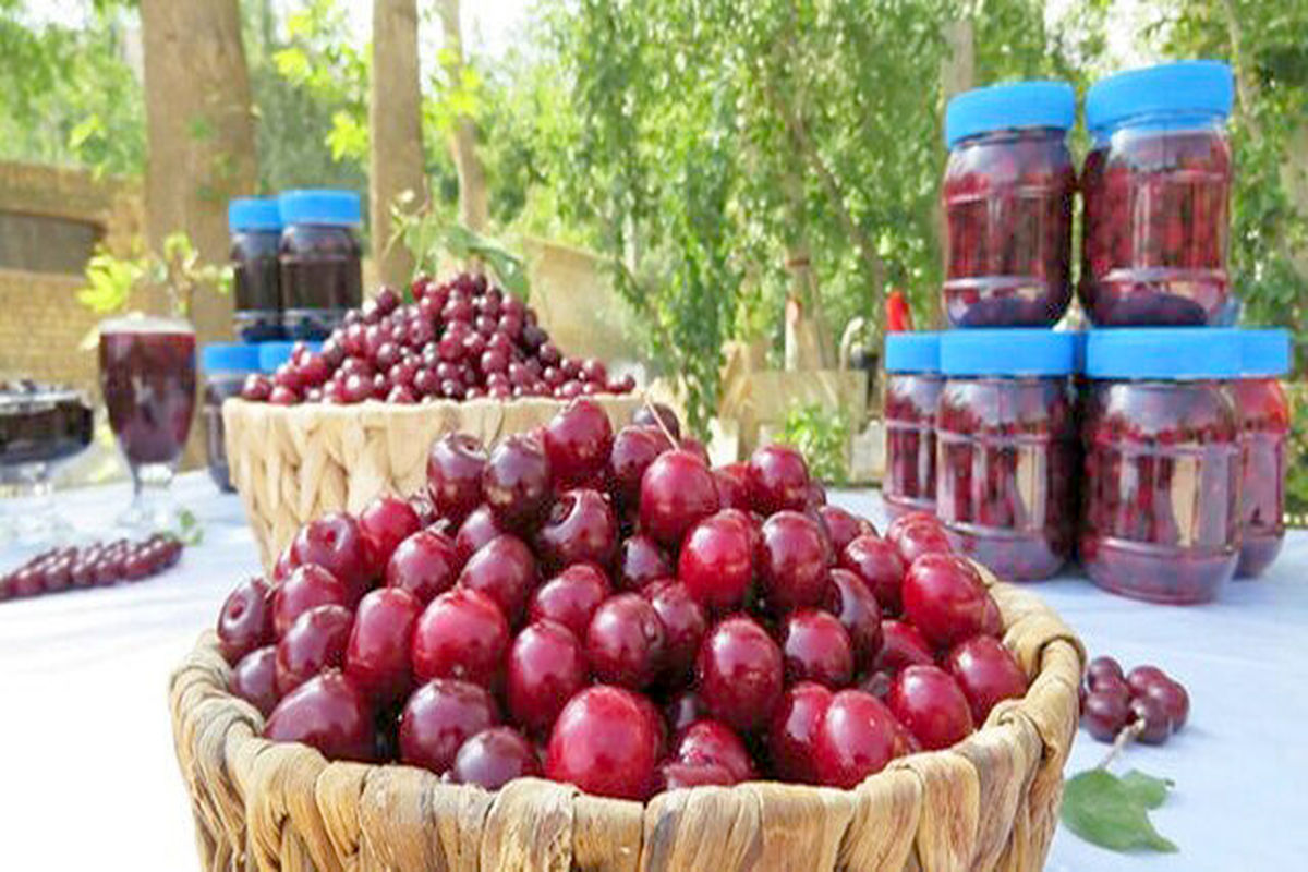 چهارمین جشنواره آلبالو در زنگنه برگزار می‌شود