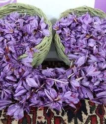 سومین جشنواره زعفران راویز برگزار شد