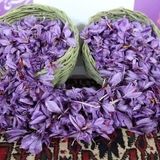 سومین جشنواره زعفران راویز برگزار شد