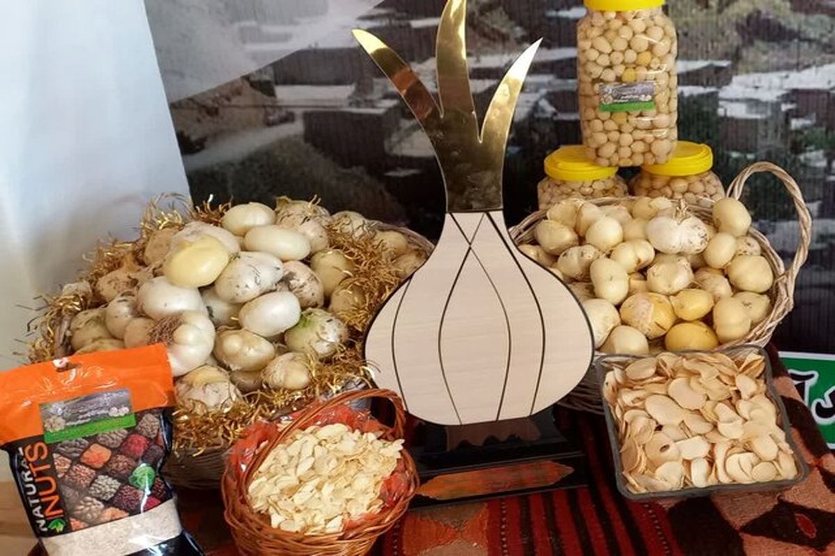 پیشبینی برداشت ۱۲۰۰ تن موسیر در استان همدان