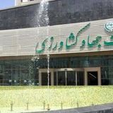 کاهش ۱۲ میلیون تنی تولید نهاده دامی بدلیل خشکسالی و بحران بارندگی